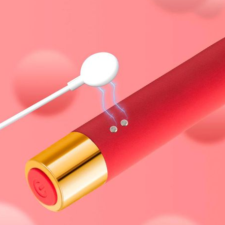 Vibrador Rabbit Estimulador de Clitóris - YSCH105